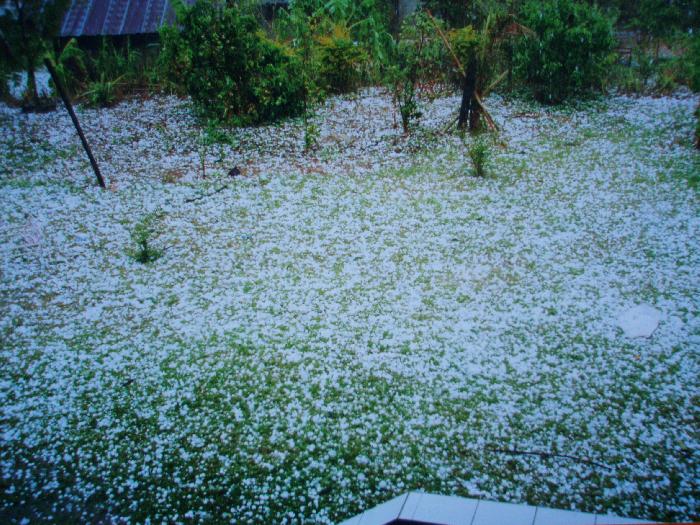 Photo by :: ฅ.เมือง