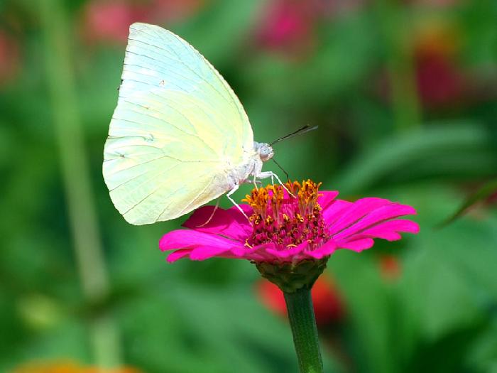 Photo by :: ����ǧ