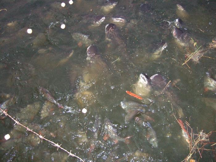 Photo by :: �.���ͧ