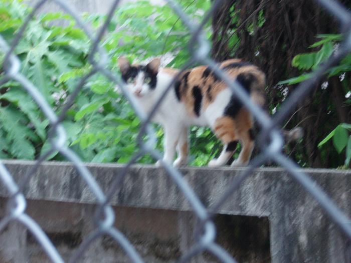 Photo by :: �.���ͧ