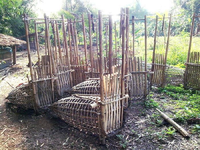 Photo by :: �����⢧