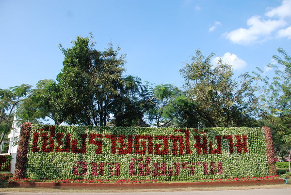 Photo by :: �ѷ�