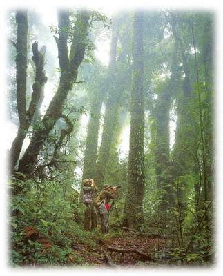 Photo by :: พอนหล้า