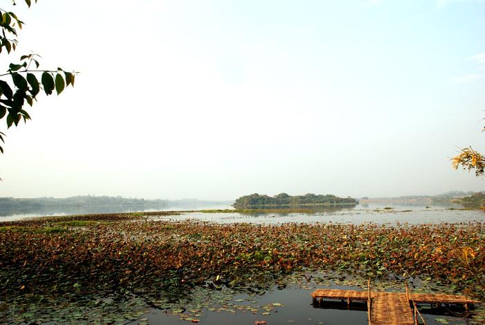 Photo by :: ����ǧ