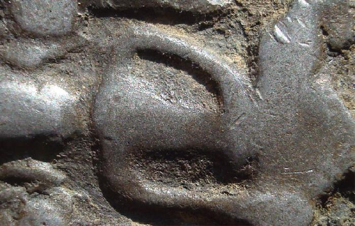 Photo by :: โชว์พระ