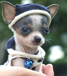 Photo by :: ��óҿ����&�緪�ͻ