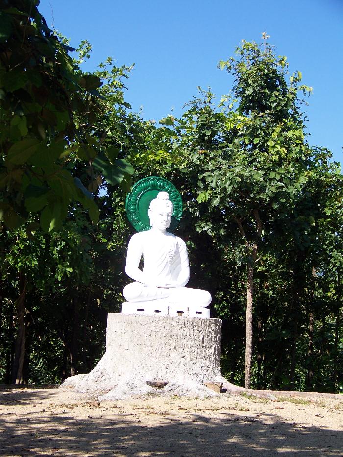 Photo by :: �ѡ�ح���ê�