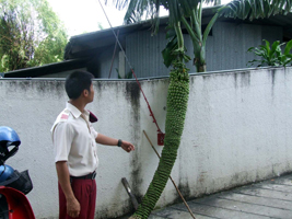 Photo by :: �͹����