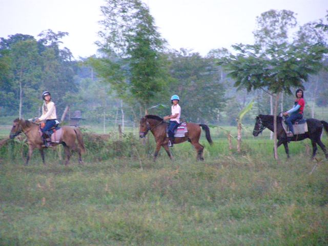 Photo by :: �Է��