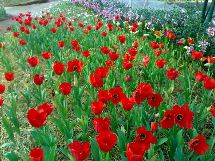 Photo by :: �ԡ�Ϳ