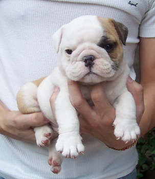 Photo by :: ���