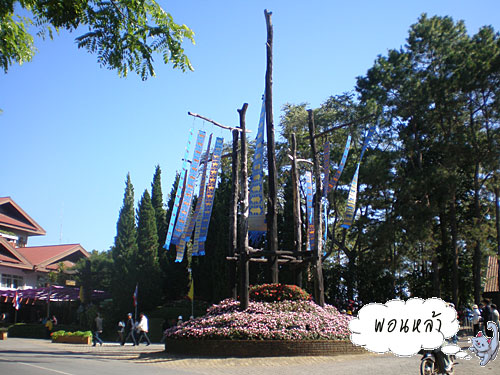 Photo by :: �͹����