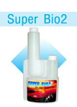 Photo by :: ˹���