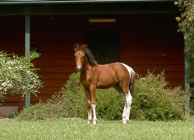 Photo by :: �ѹ��