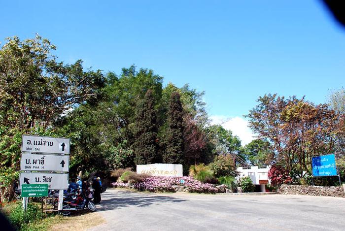 Photo by :: ����ǧ