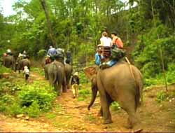 Photo by :: aaeonline