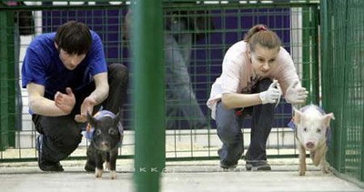 Photo by :: วันนา