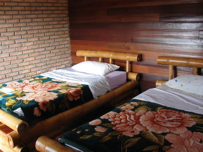 Photo by :: ���