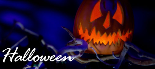 Photo by :: �͹����