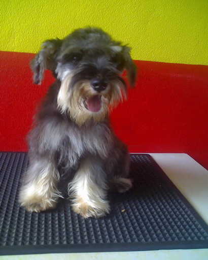 Photo by :: ��óҿ����