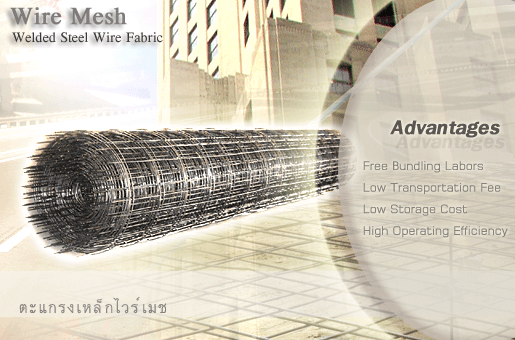 Photo by :: นฤมล