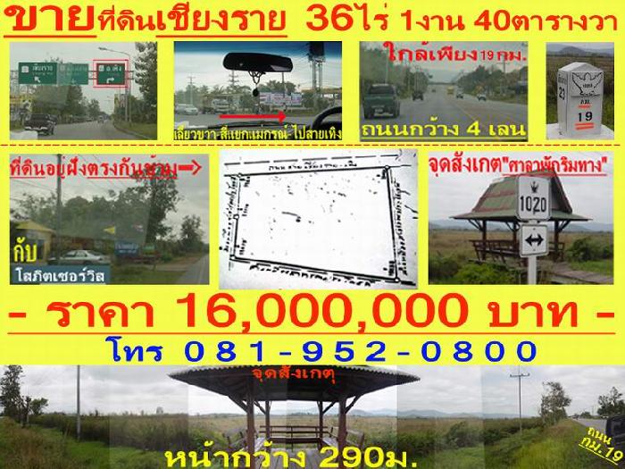 Photo by :: chong_chups@hotmail.com