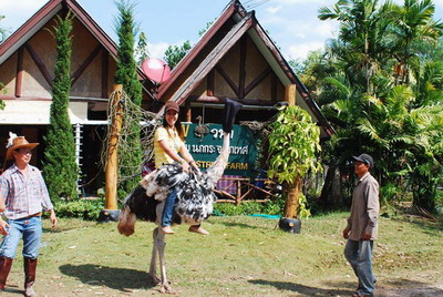 Photo by :: ǹҿ����