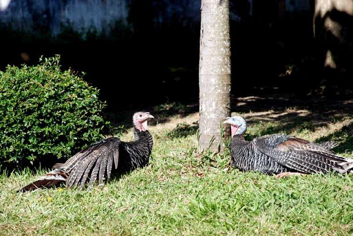 Photo by :: ����ǧ