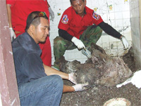 Photo by :: �͹����