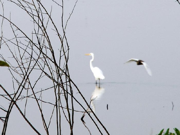 Photo by :: ����ǧ