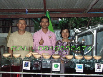 Photo by :: ����Ǵ�