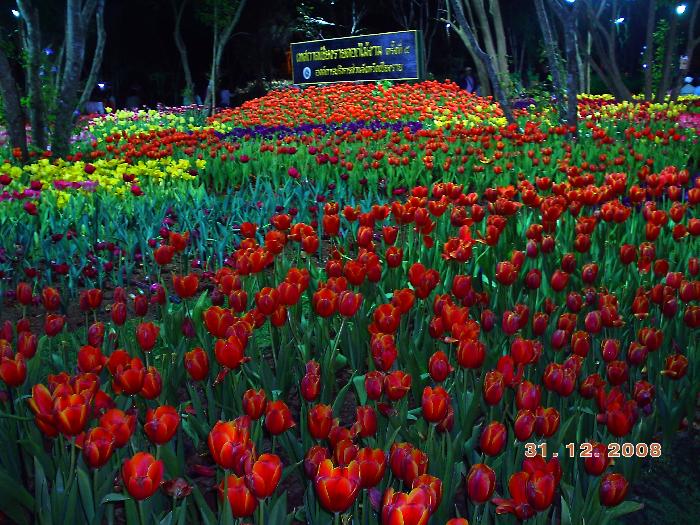 Photo by :: ��ǡ �Ź