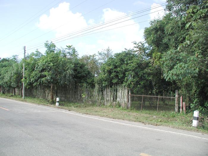 Photo by :: อ.สายหยุด สุขยิ่ง