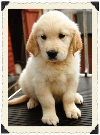 Photo by :: �Թ�ѧ