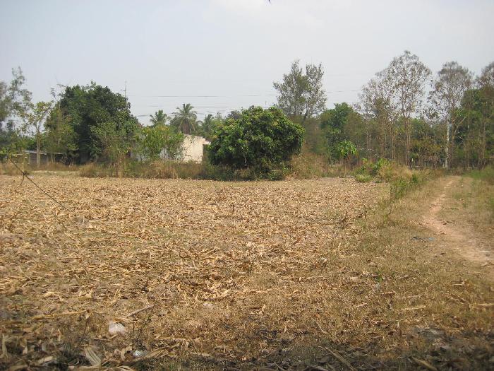 Photo by :: ��������