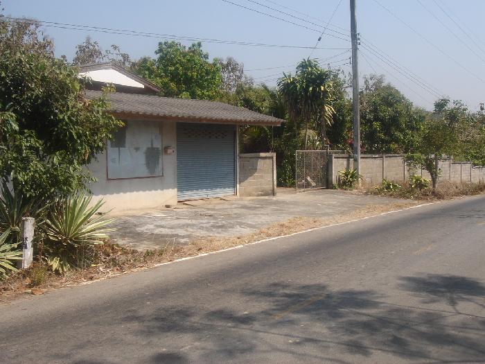 Photo by :: ฐิตาภา