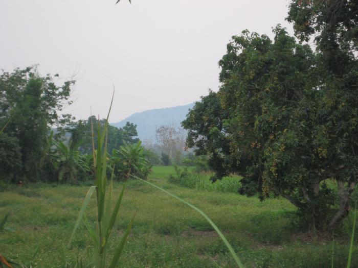 Photo by :: ��������