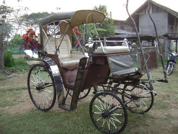 Photo by :: ����