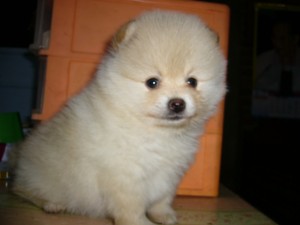 Photo by :: เฮ็ม