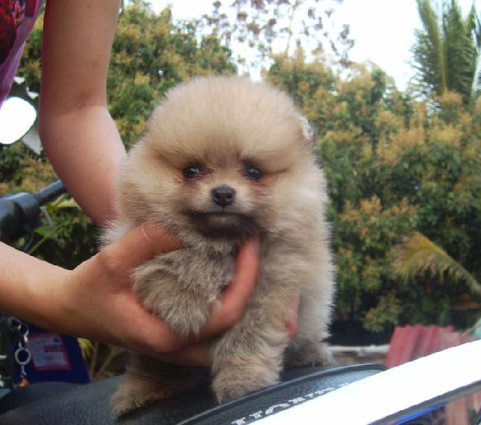 Photo by :: �س����Ե�