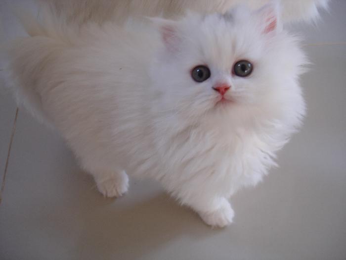 Photo by :: ����