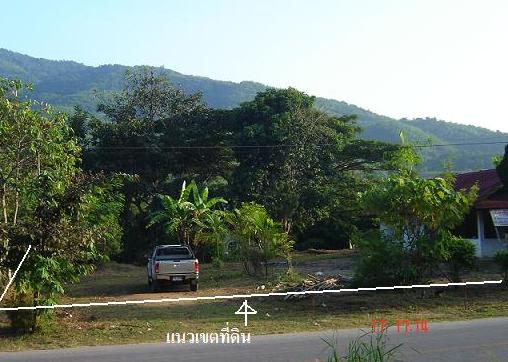 Photo by ::  �س�͡��� ˹ع��ä��