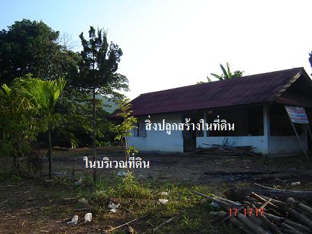 Photo by :: �س�͡��� ˹ع��ä��