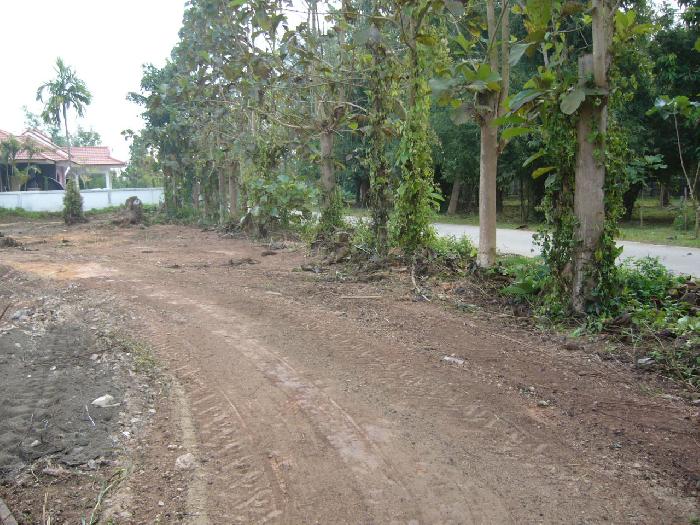 Photo by :: เอม