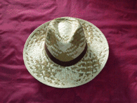 Photo by :: ��(��ҹ��蹤�)