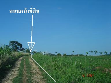 Photo by :: �Դ��� �س�͡��� ˹ع��ä��