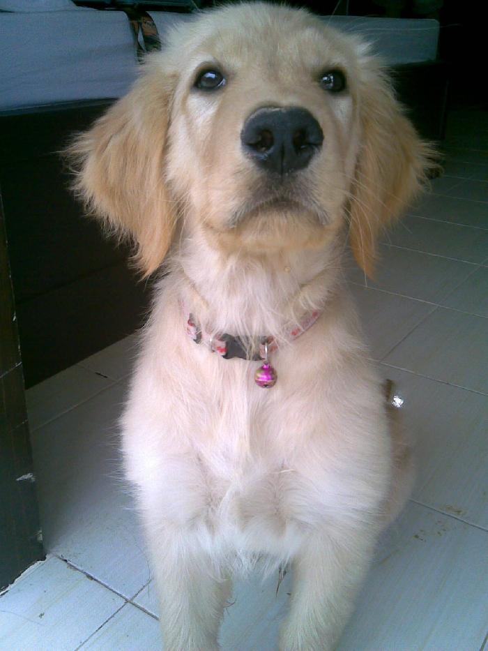 Photo by :: ���