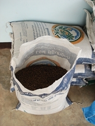 Photo by :: ��СԵ