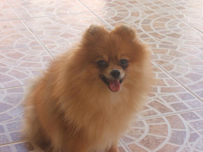 Photo by :: ��͹�ͧ���