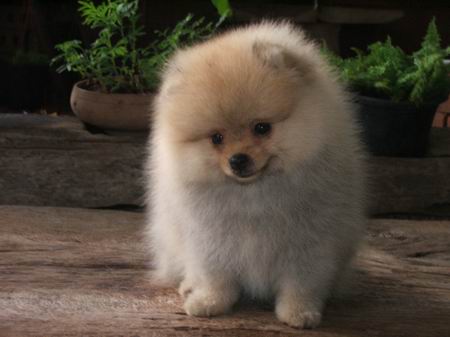 Photo by :: �����һ��